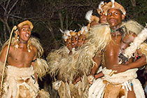 Zulu dancing : dancers