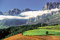 fields on on slope of Hottentots-Holland mountains