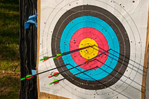 activities | archery