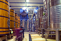 wine processing