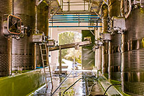 wine processing