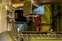 wine processing