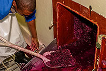 wine processing