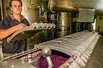 wine processing