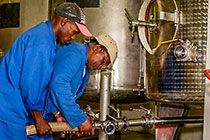 wine processing