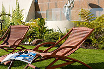 in the garden