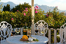 cheese & wine in the garden