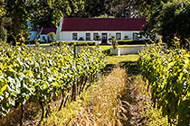 guest house & vineyards