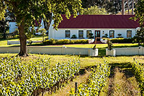 guest house & vineyards