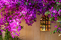 house & garden