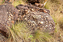 conglomerate rock