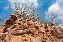 sandstone cliffs