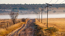 farm road + mist over farm land