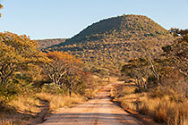 dirt road through landscape
