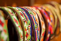 dog collars with beadles in craft shop