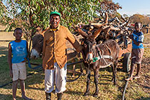 man & boys with donky cart loaded with wood