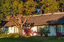 waterberg cottage