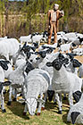 beedle sheeps sculptures in garden