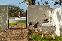 wired sheeps in garden