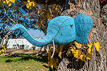 wired blue elephant