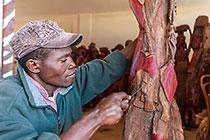 Malawi artist polishing wooden sculpture