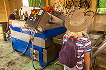 olive oil processing : Enya looking at olive oil extration process