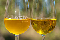olive oil in glasses : just after separator and last filter (with sediment) & after resting (translucent)