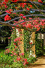 gardens : octogonal garden