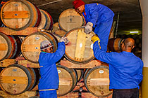 workers in cellar