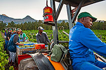 Harvest Korhaan Block Feb 2011